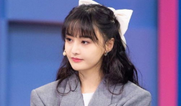 吃瓜爆料郑爽完整版,完整版事件回顾与深度解析